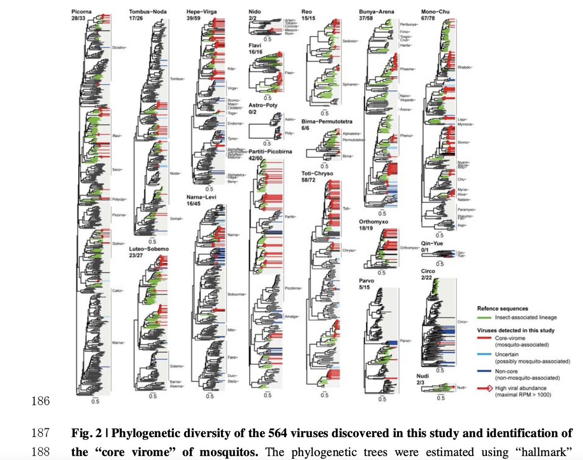 Virome of >2000 individual mosquitos from across China. That's right: >2000 individuals 😱 Describing core virome with many new viruses (head exploding).  But....great work.  Next step: work with entire viromes in epidemiology studies 👍 biorxiv.org/content/10.110… @edwardcholmes