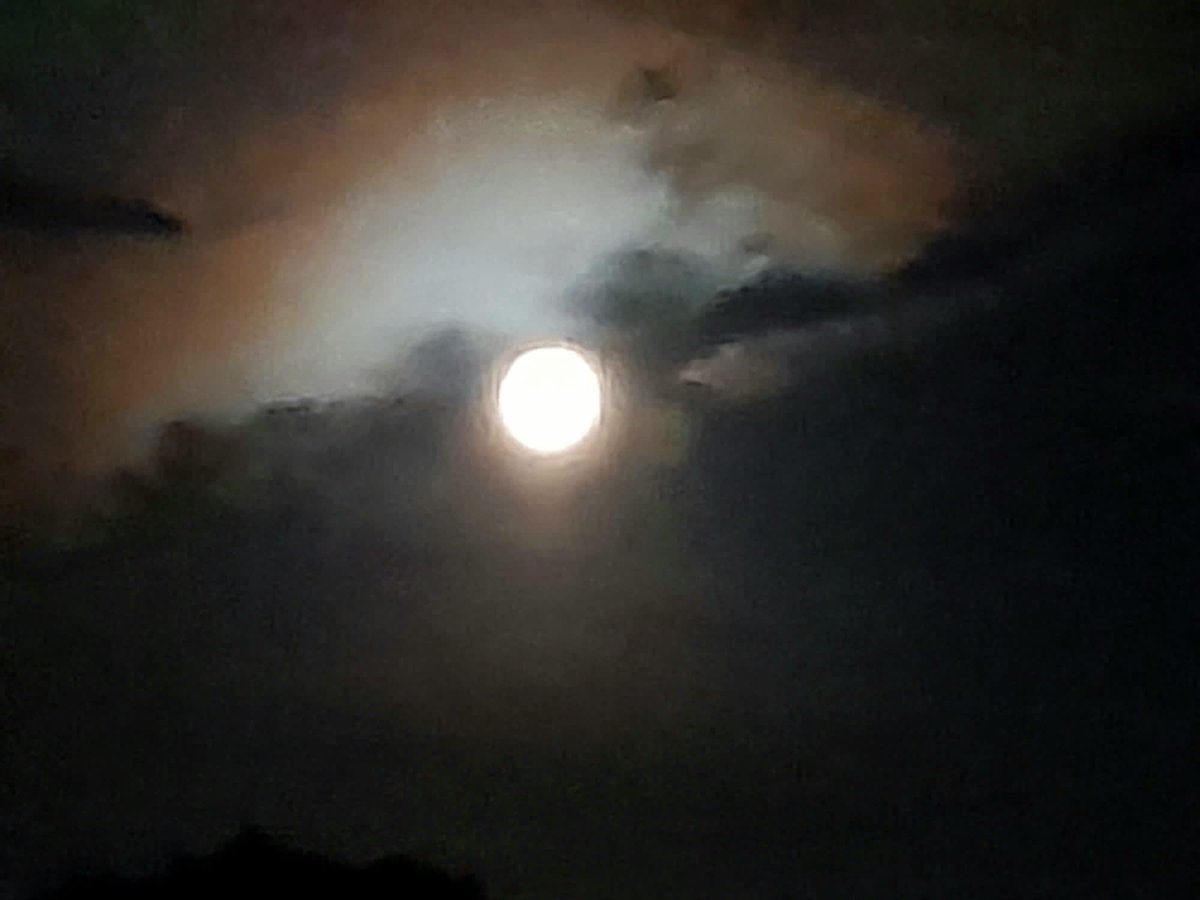 cheryoncake's tweet image. The best I could manage with an iPhone.  May not be around when it appears again in 2037!! #OnceInABlueMoon