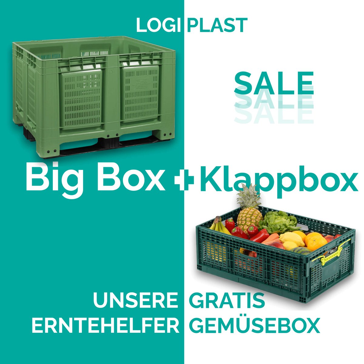 Logiplast1's tweet photo. 🌾🍎 Die #Erntezeit ist da! Profitieren Sie jetzt von unserem exklusiven Angebot: Kaufen Sie eine robuste Palettenbox und erhalten Sie eine Klappkiste GRATIS dazu! 🎉

🛒 Nutzen Sie den Code "ERNTE2023" auf unserer Webseite. 📅 Gültig bis 31.10.2023
#Ernte #Spezialangebot https://t.co/XvJAaIiT2X