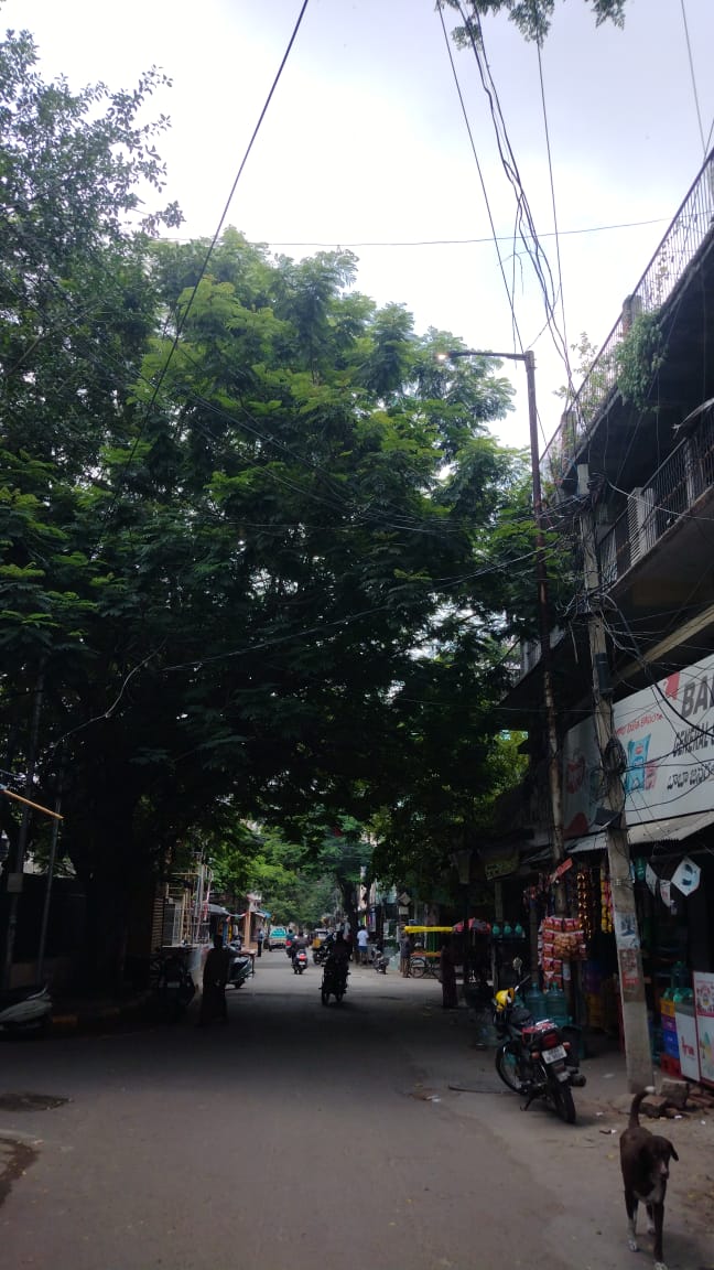 EESL-Khairathabad Zone-Street Light tweet media