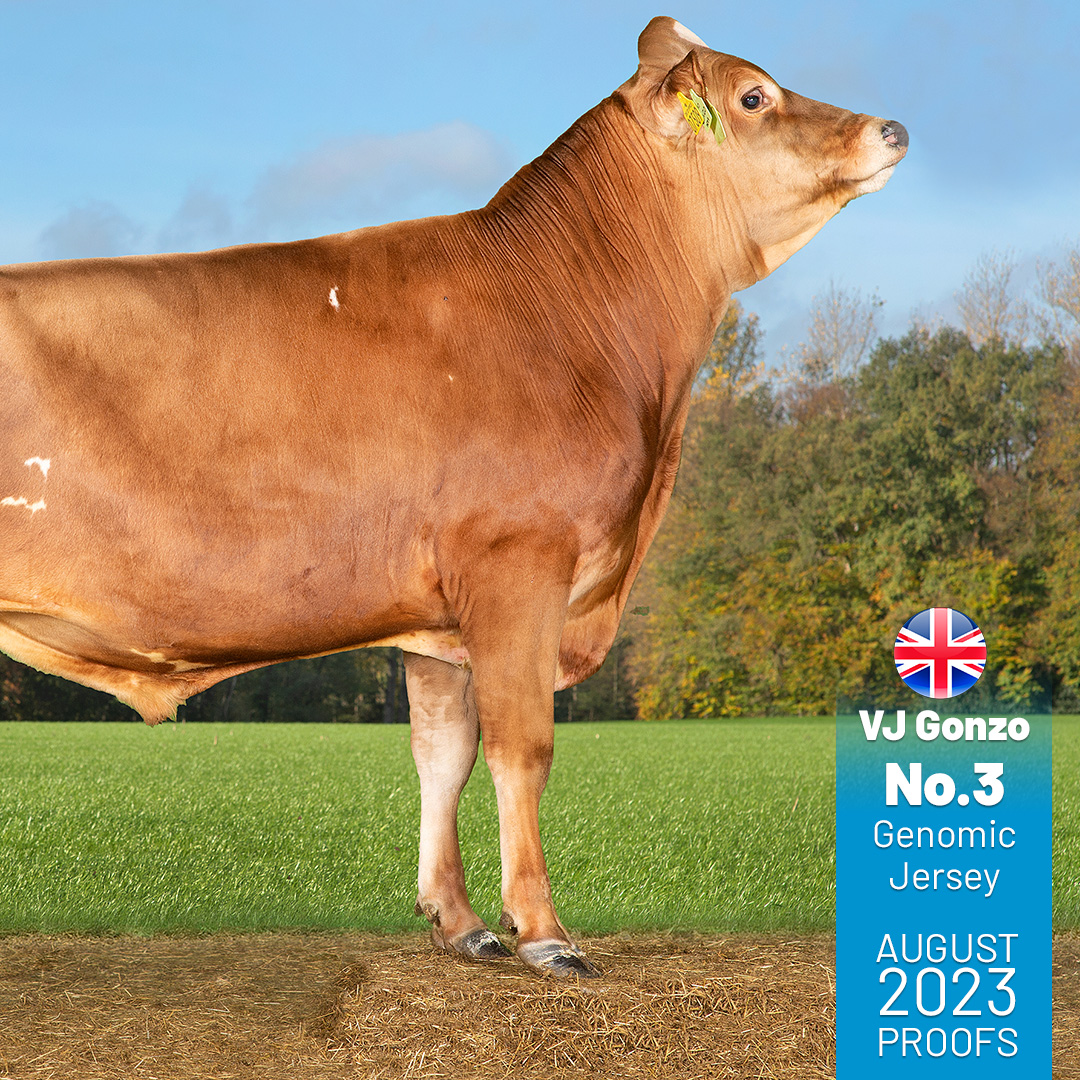 VikingGenetics UK tweet media