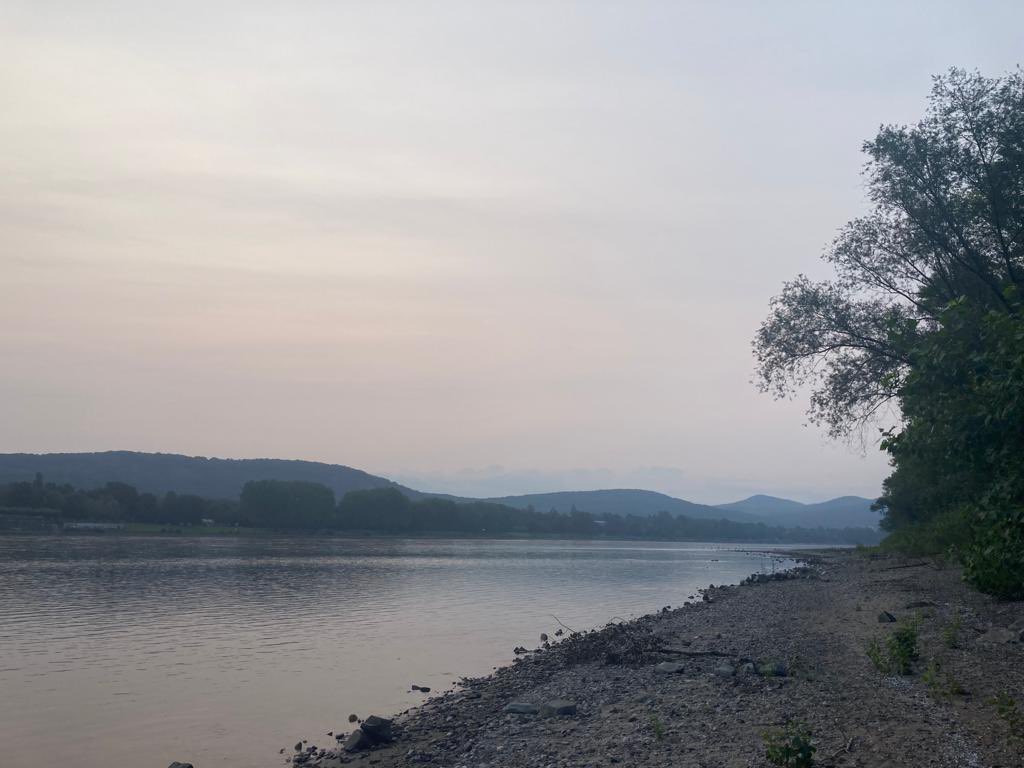 jillgallard's tweet photo. Rhein River early morning🏃‍♀️in Bonn yesterday. Always good to be back in NRW @landnrw @NickRussellUK @n_liminski https://t.co/xg2AwnrVoN