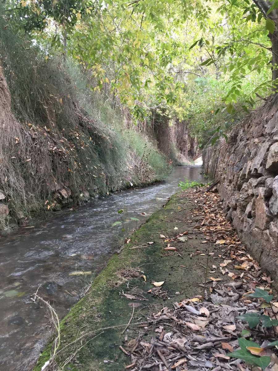 🍋 Cuentas bonicas, con fundamento 💚
<a href="/Huertaviva_/">Murcia Huerta Viva</a>
<a href="/huermur/">Huermur</a>
<a href="/antoniobotias/">Antonio Botías</a> 
<a href="/Regmurcialimpia/">Región de Murcia Limpia</a> 
<a href="/NuestroMarMenor/">Nuestro Mar Menor de l@s Niñ@s</a> 
<a href="/Yo_Pac0/">Yo, Paco</a> 
<a href="/AlMursi2/">Al-Mursi</a> 
<a href="/castellar_lion/">El León del Castellar</a> 
<a href="/Scruzcampillo/">Santiago Campillo</a>
<a href="/SimonGambin/">Simón Gambín</a> 
<a href="/Patrimonio_MU/">Plataforma Patrimonio Murcia</a> 
<a href="/murciaquesefue/">La Murcia que se fue</a> 
<a href="/tudmur/">TUDMUR 🚩</a> 
<a href="/jrcp_art/">Perín 💚🔥</a> 
@LutraThader 
<a href="/CabezoReporter/">Pepe Borja</a>
<a href="/Defensa_Fuentes/">Plataforma en Defensa de las Fuentes</a>