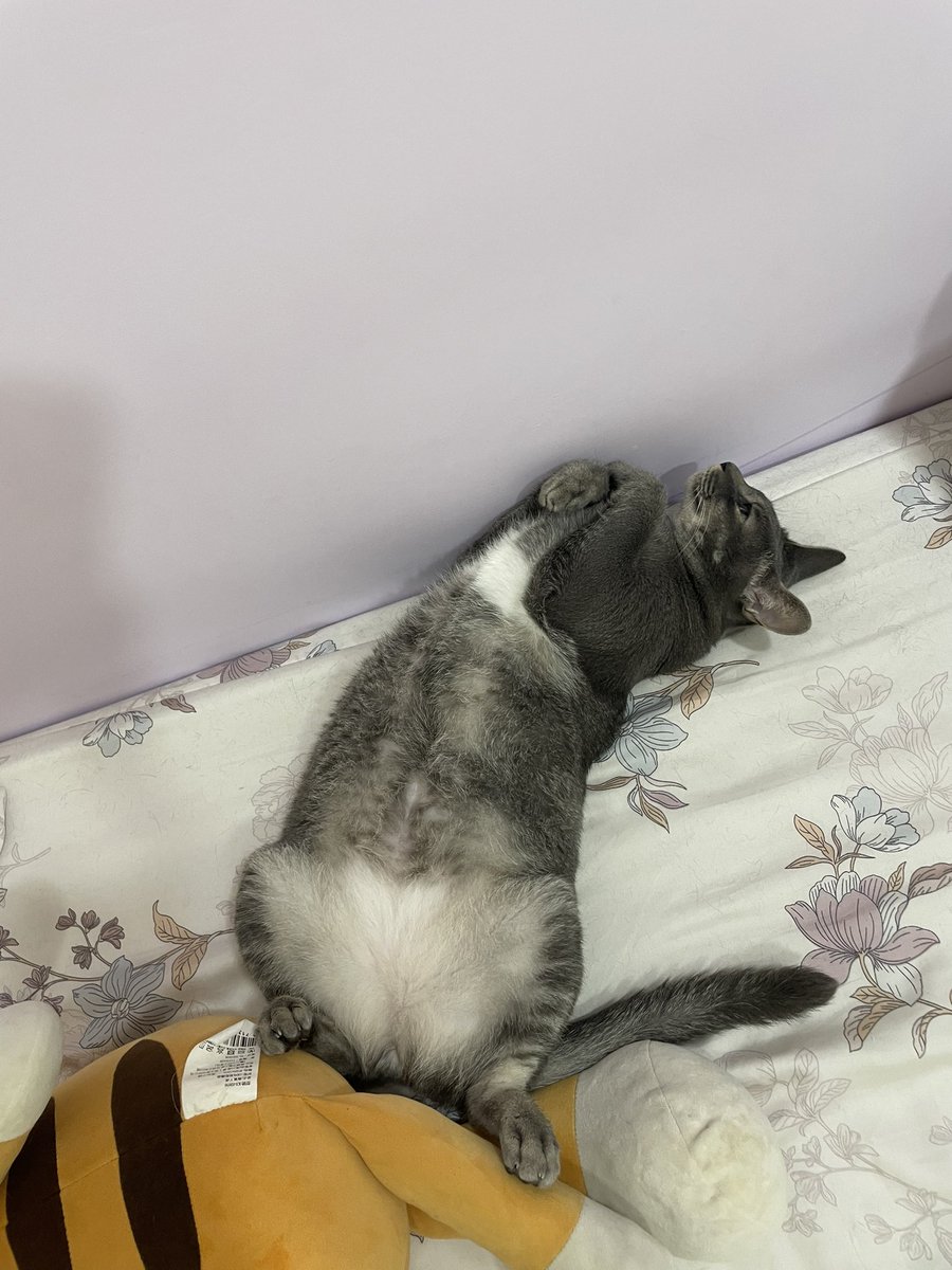 Kate Lin tweet media