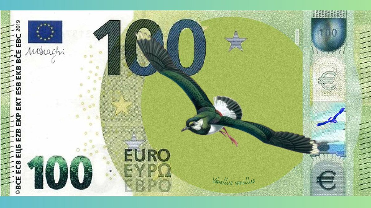 Last day to to help shape the future of euro notes! 

Birds are a theme for the redesign. Tell the European Central Bank why birds are the best choice! 🐦💶  
 
survey.ecb.europa.eu/486783