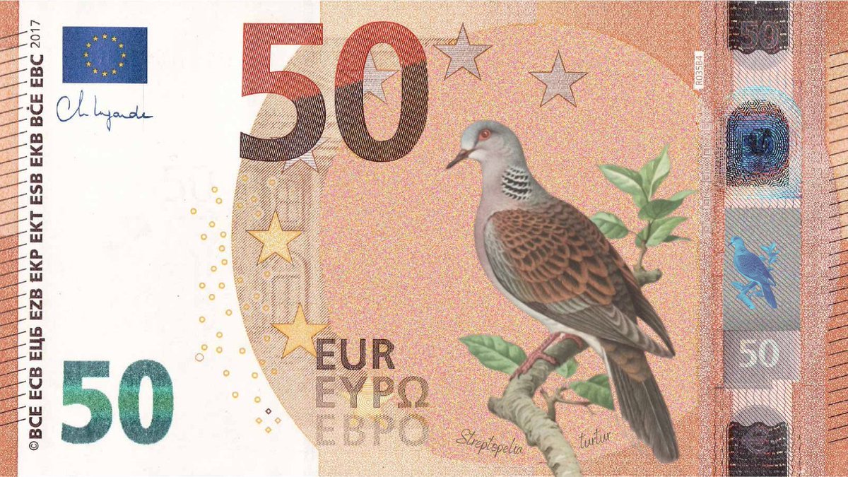 BirdLifeEurope's tweet photo. Last day to to help shape the future of euro notes! 

Birds are a theme for the redesign. Tell the European Central Bank why birds are the best choice! 🐦💶  
 
https://t.co/YRs0WZVUXW https://t.co/6Z8dcf5MYZ