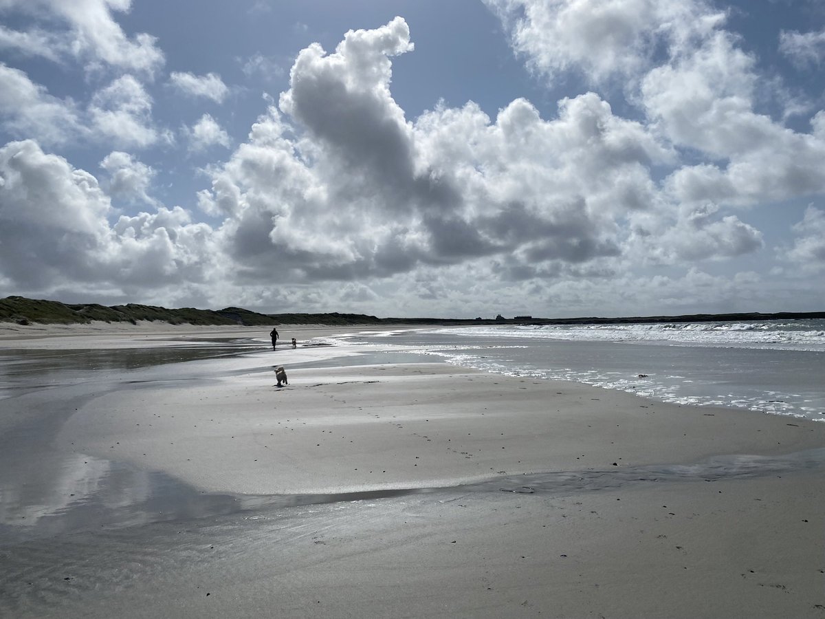 Katavoyage's tweet photo. Eriskay beach, Scottish Hebrides 🏴󠁧󠁢󠁳󠁣󠁴󠁿 #staycation https://t.co/gFCwsp3lmX