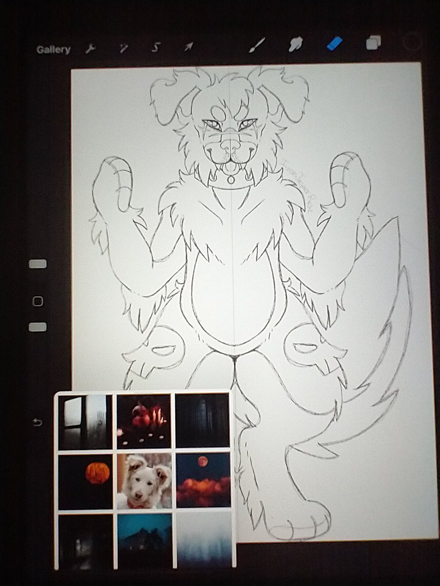 Making some mood board adopts