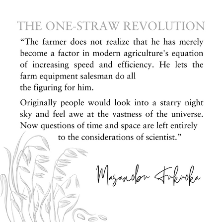 Quote: Masanobu  Fukuoka, The One-Straw Revolution%

amazon.com.au/One-Straw-Revo… 

#permaculture #farming #newyorkreviewofbooks #books #theonestrawrevolution #smallfarmer #smallfarmeconomics #masanobufukuoka