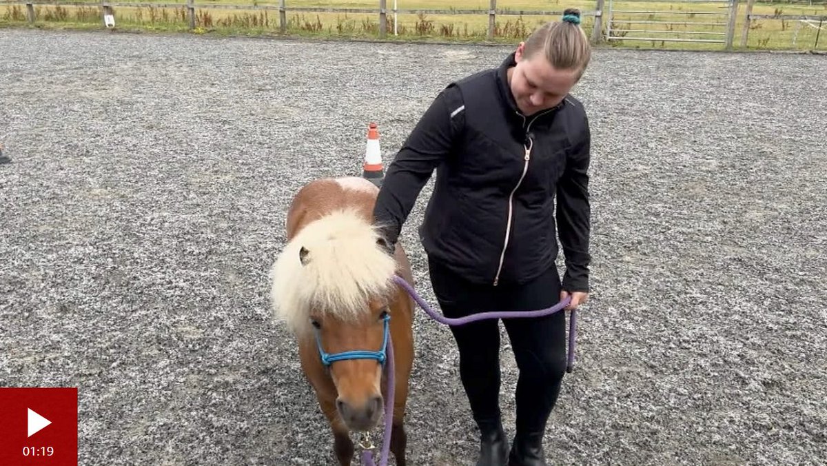 TogetherMW's tweet photo. Film features great initiative in Dorset where The Horse Course, having previously supported prisoners, helps young people who experience OCD or ADHD building resilience &amp; aiding their #MentalHealth with #LivedExperience from people who've taken part https://t.co/NvdchtrNIO https://t.co/sCOKCkpR4S