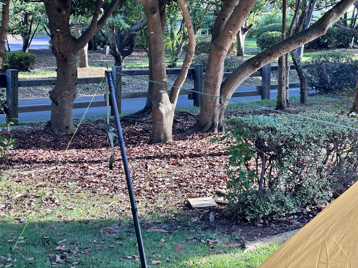 campv_noyn's tweet photo. 若洲公園の2回目はソロだったので小川張。
初めて五角形タープを使用してみた。
パンダTCのシルスみたいな感じでちょうどいい。
荷物容量減らしたいので、もうソロの時はこれでいいや。
オレンジしか売ってないのがネックだけど……。
#ソロキャンプ　#若洲公園　#campv https://t.co/QBP98u1b9o