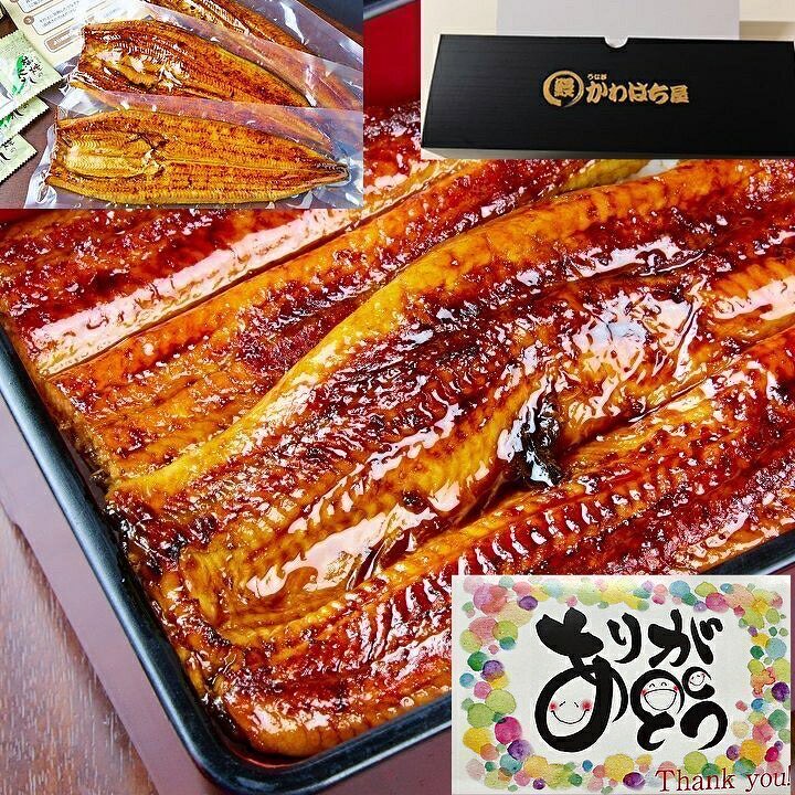 japan_food_loss's tweet photo. ／
#その場で当たる 🎉
かわはち屋
うなぎ
を抽選でプレゼント🎁✨
＼

楽天市場
▷ https://t.co/aoMMgIxtnA

アマゾン
▷ https://t.co/yxYytXboiu

📣応募方法 
① 当アカウントをフォロー 
②リポスト＆いいね

📣応募締切
9月4日23時59分
当選者にはDM
#懸賞 #プレゼント企画開催中 https://t.co/2SvW1zX5GC