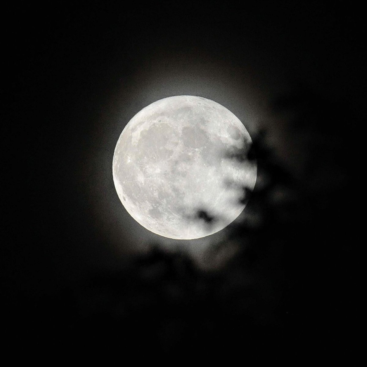 sharonlives's tweet photo. #superbluemoon The moon! I have my own pictures of the moon! Not actually blue but still very super. I bled for these photos. (Mosquitos were on attack mode.) 

Also, the Sigma 150-600C lens is SO MUCH FUN. 

#bluesupermoon #moon #fullmoon #🌕 #🌝 #🌛  #sigma150600c  #nikond700 https://t.co/iGiUabJu75