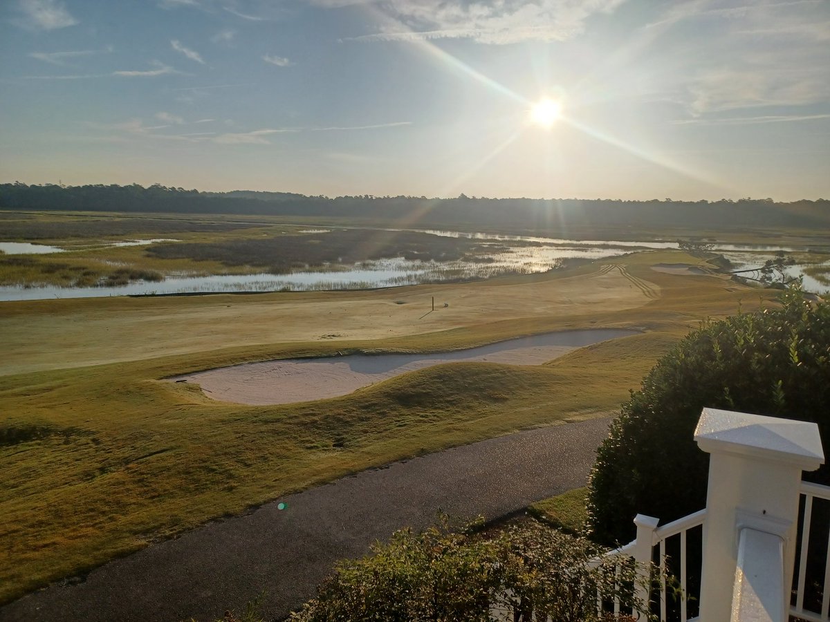 Nipplez (Gear Head Mike) tweet media