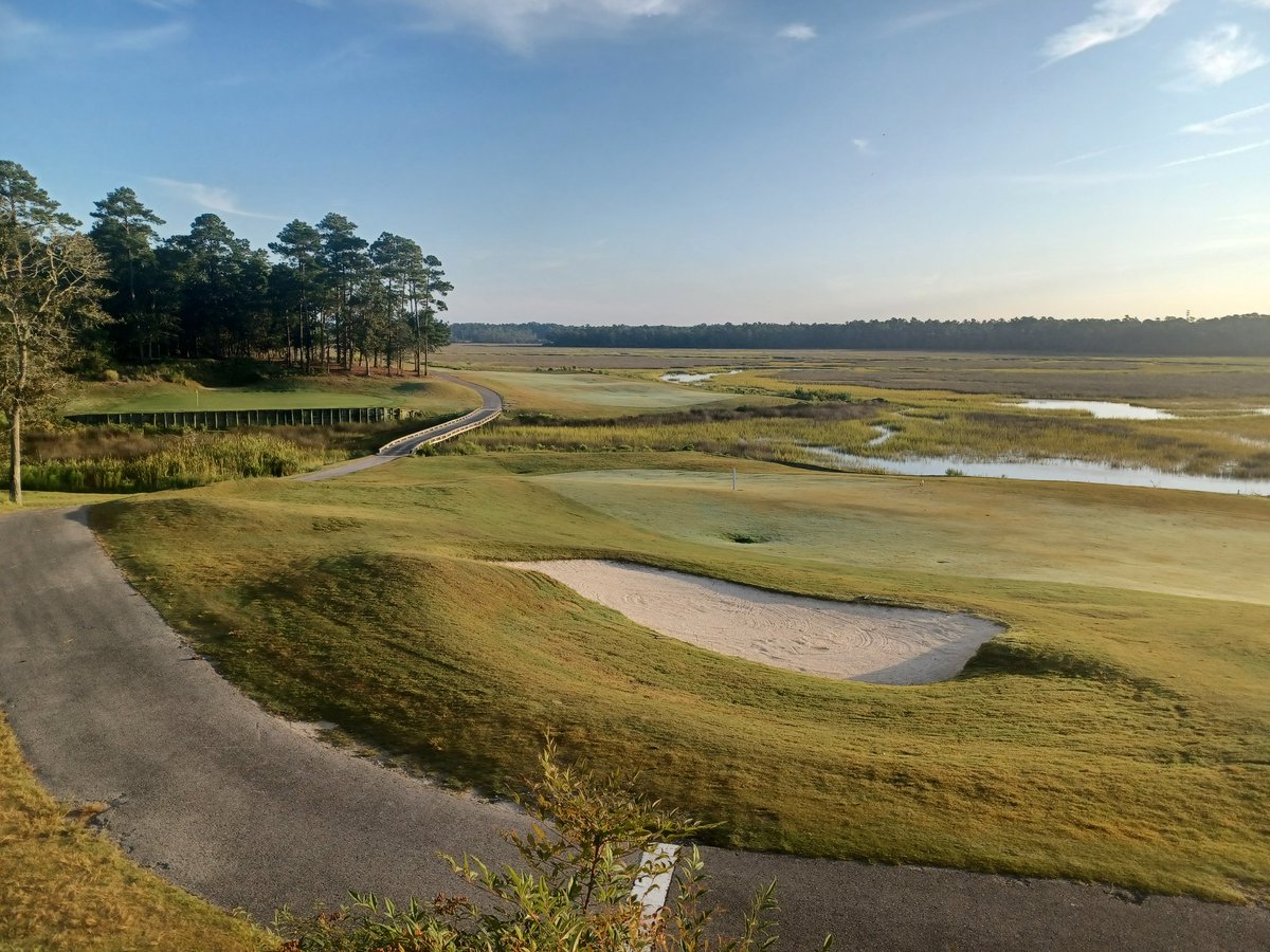 Nipplez (Gear Head Mike) tweet media