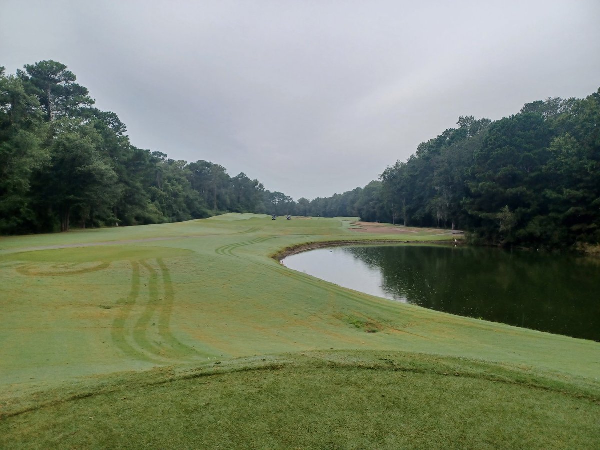 Nipplez (Gear Head Mike) tweet media