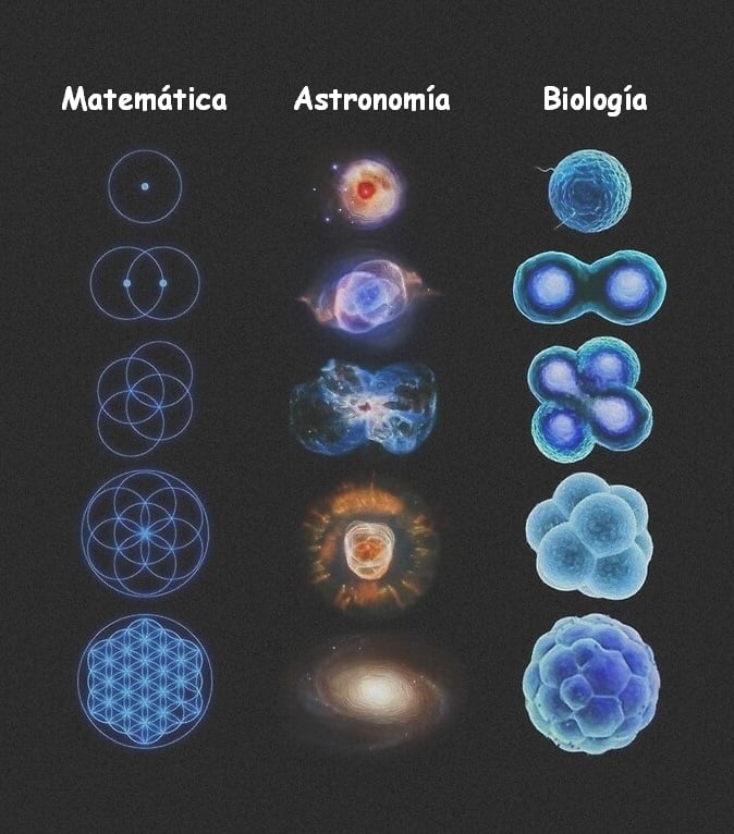 Informa Cosmos (@informacosmos) on Twitter photo 