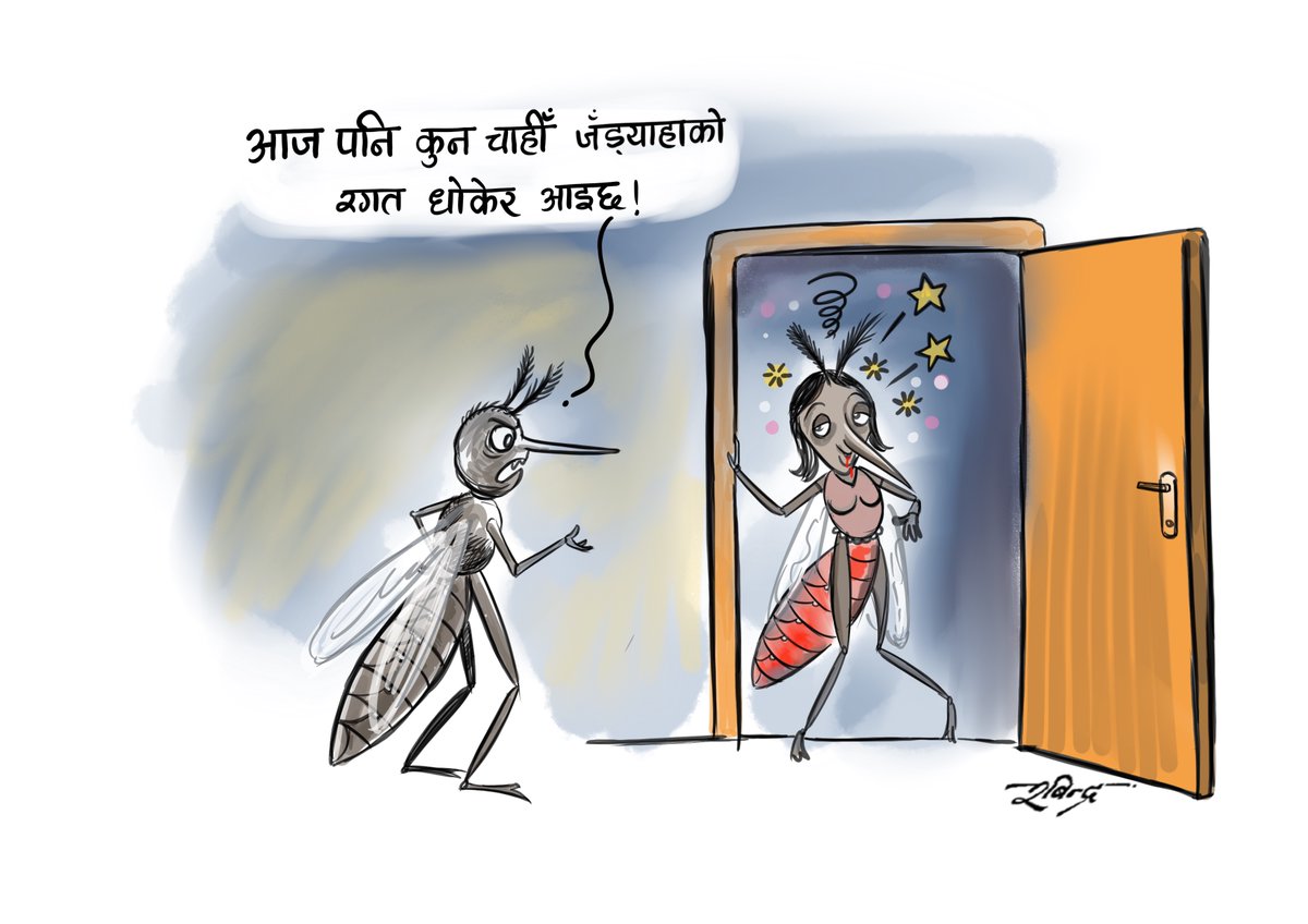 Robindarr's tweet image. Have Wonderful Gaijatra !!