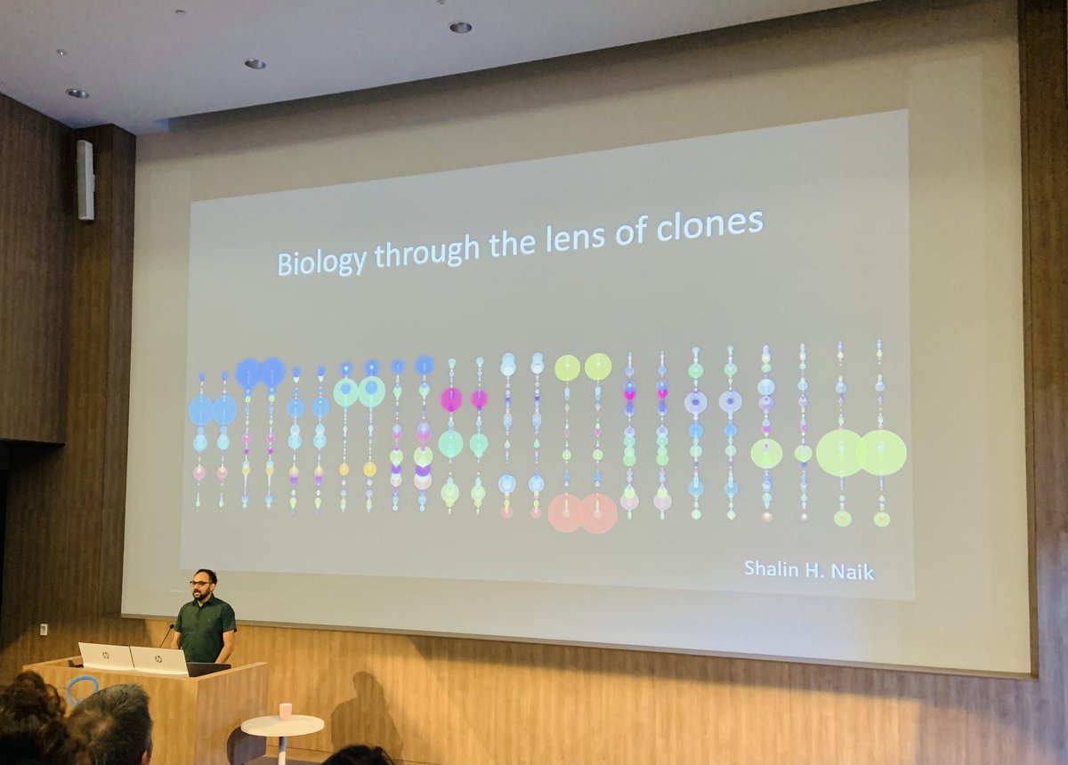 armish1910's tweet photo. @shalinhnaik introduced us to the intricacies of clonal heterogeneity in cell fate decisions and then too a bit further to the ripples of clonal memoryπ«..!! Fantastic body of work with state-of-art technological excellence..! #cellfatedecisions #immunology #sciencesuperstars https://t.co/bJHxpW59rc