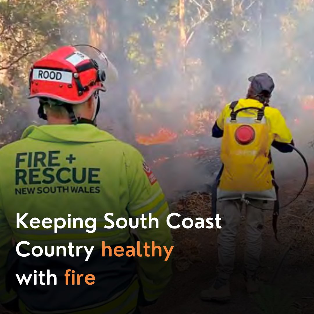 ON the Far South Coast of NSW, Fire and Rescue NSW (FRNSW) recently undertook a fire reduction burn using traditional cultural practices to reduce bushfire risk.

The area of the burn was devastated during the horrific ‘Black Summer’ crisis of 2019-20. 

#KooriMail #CulturalBurn