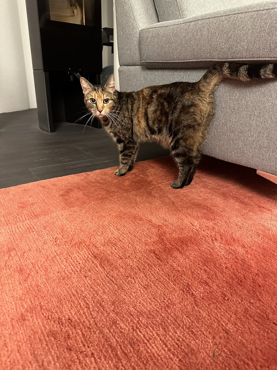 Petunia ist wieder zurück!! 🫶🏻