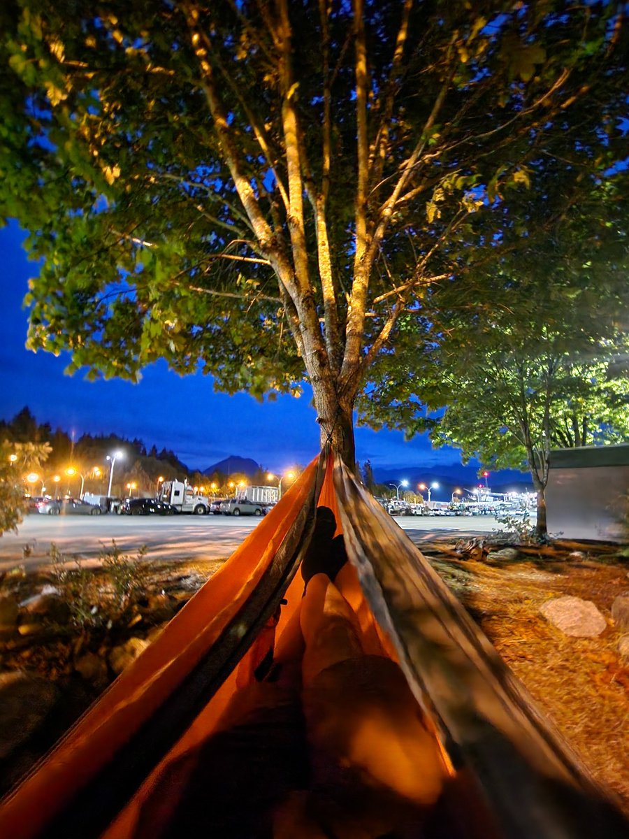 Life pro tip... always bring a hammock when traveling on <a href="/BCFerries/">BC Ferries</a> #bcferries, always a good chance of delays. Like this 1.5 hour one tonight 😴