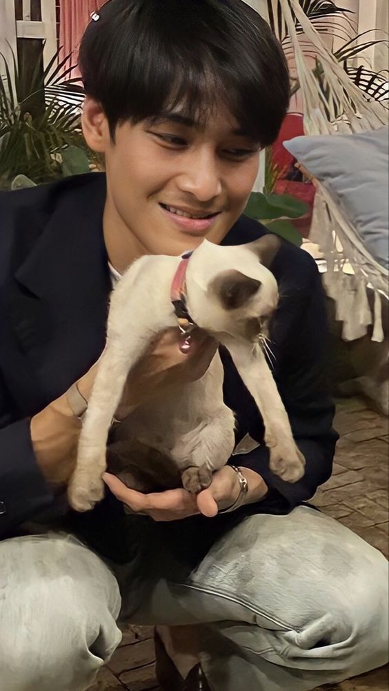 :| คอลเล็คชั่น 'เจย์คนแพ้แมว' เห็นแล้วพ่ายแพ้ทางใจ...อยากจะจับอยากจะฟัด