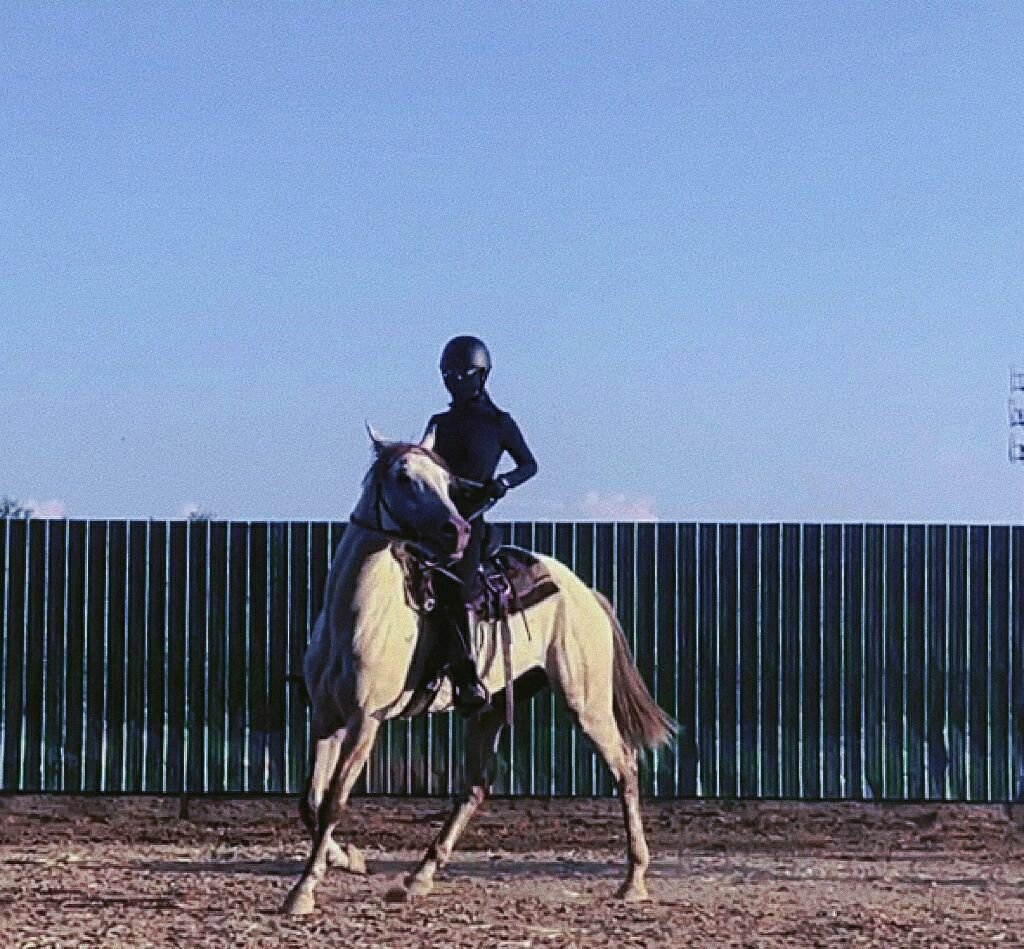 Experience the sport of equestrianism