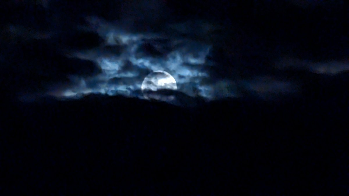 ian_bill67's tweet photo. @DavidBflower Closest I got to the #SuperBlueMoon over Milton Keynes this morning @scenesfromMK #StormHour #thephotohour #lunartic #lunartics https://t.co/VVZtVk8nXJ