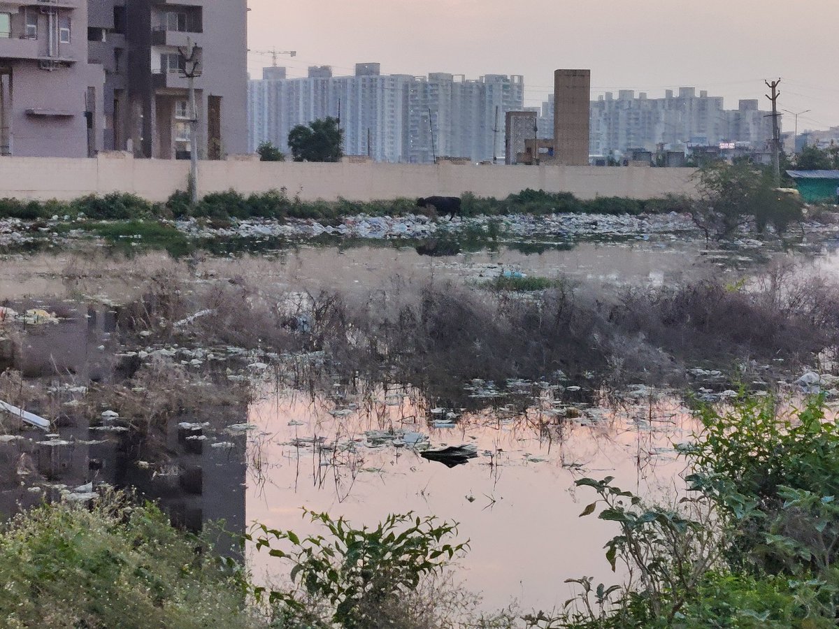 Truth070707's tweet photo. @IpsitaTOI @MunCorpGurugram @HspcbS @SaveAravali @lifeindia2016 @mlkhattar
They should be fined for these as well
Jab log bimar padenge tab inke Mann ko Shanti milegi.
Is bar poori koshish rahegi in jaiso ko apne keemti vote na de
I request to retweet so that there ears get something....it is for all of us.
Tired of being following them up https://t.co/6iGVIbomnM
