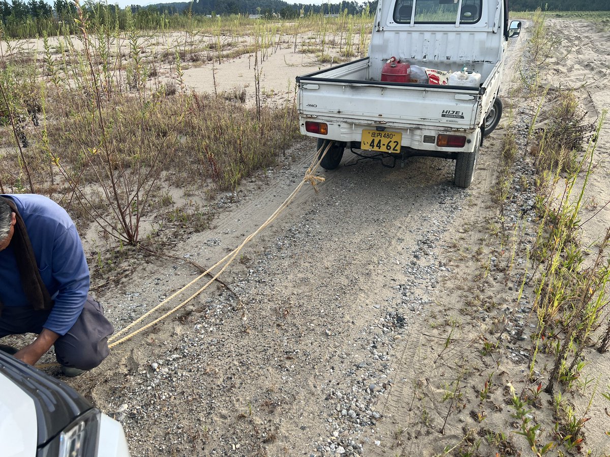 ✨いもあねちゃ✨アムザ農業部 tweet media