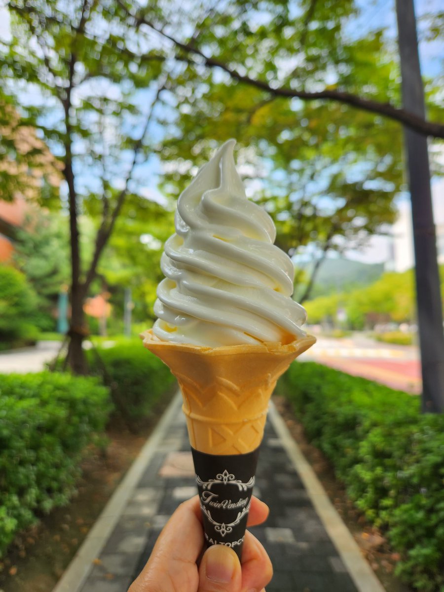 krzywasabi's tweet photo. 🌲🌳🌲🌳🍦🌳🌲🌳🌲 https://t.co/pOBicYxKF4