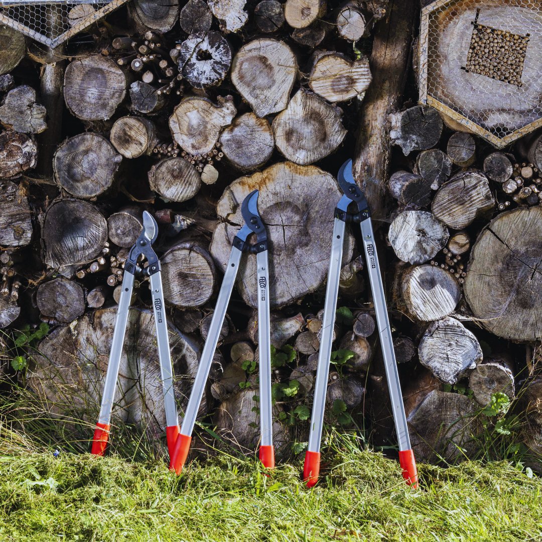 FELCO_tools's tweet image. The #FELCO 221 #loppers are designed to meet the needs of users who want to prune at height with ease and without extra effort. Available in three different lengths: 70/80/90 cm #FELCOlovers #FELCOLoppers #MyFELCO #pruning #gardeningtools