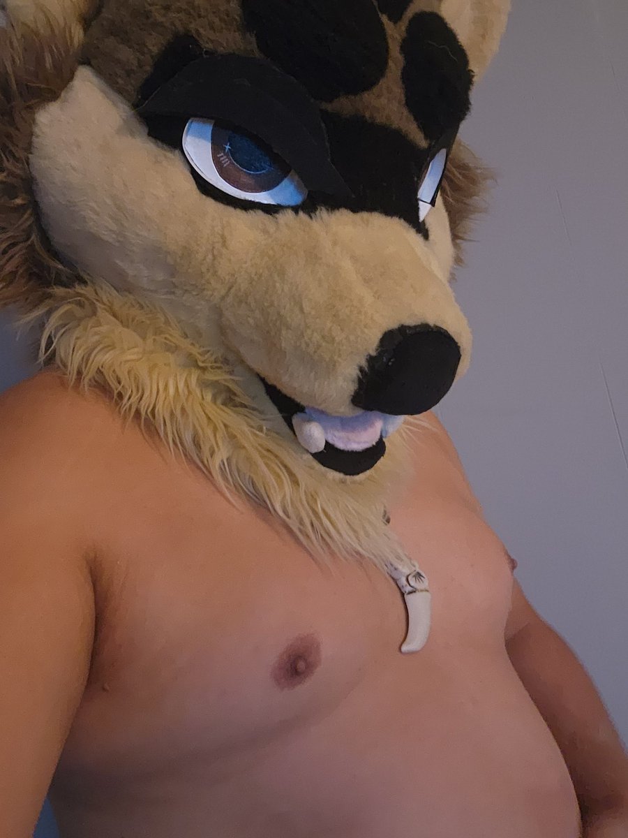 Howzer the Howler tweet media