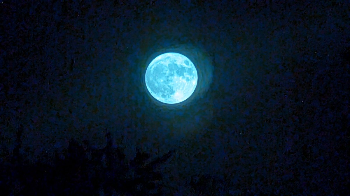 Nik Sathe tweet media