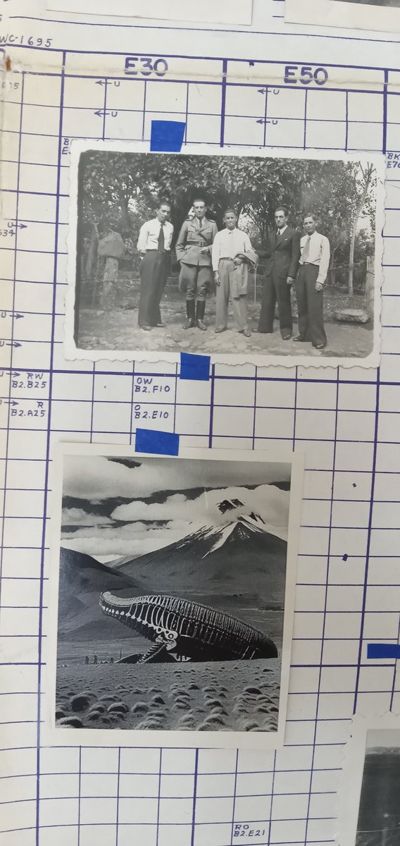 minitrack1963's tweet photo. “Es uno de los descubrimientos de fósiles más impresionantes de los últimos años, un cementerio de ballenas al lado de la Ruta Panamericana de Ecuador, conocida como la carretera Norte-Sur en el país.Y ahora los científicos creen poder explicar cómo fue que tantos cetáceos .... https://t.co/AqktpyiI3P