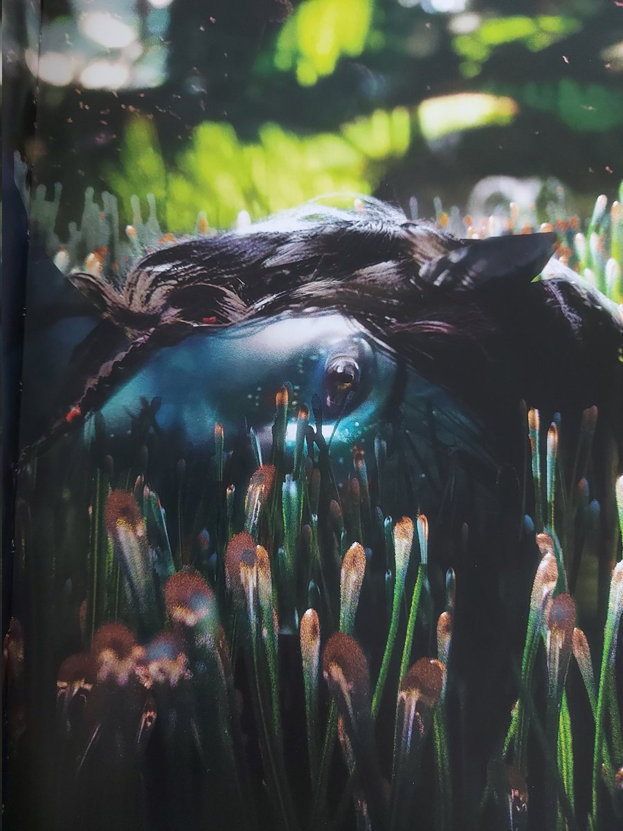 blackhitomi3's tweet photo. ในที่สุดผมก็ได้แล้วครับ กรี๊ดดดดดด
#Avatar #AvatarTheWayOfWater https://t.co/IbpCHSghIn