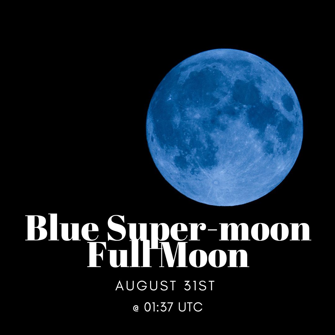 The Blue Moon:  A blue moon occurs on the third full moon of a four full moon cycle and usually ends on the last full moon of a season/cycle. It is considered an “Extra moon" which makes it super rare, and it is not necessarily blue. This occurrence happens once every two to thre