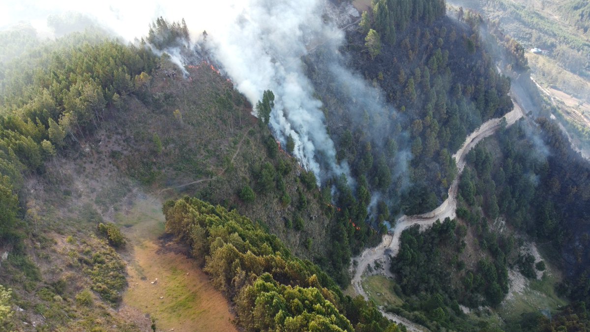 AlexSContrerasY's tweet photo. 🔴 500 HECTÁREAS DE BOSQUES PERDIDOS TRAS INCENDIO EN CHALAMARCA - CHOTA

Gobierno Regional de Cajamarca une esfuerzos para salvaguardar la integridad de la población
https://t.co/WVcAQK0ga2 https://t.co/XKYySCzP7M