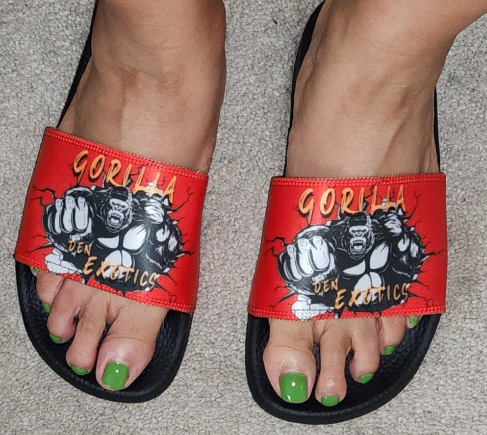 gorilla_den281's tweet photo. Gorilla Den Footwear!!!🙏🏾💪🏾🦍🦍🦍👣 https://t.co/JOqjNairlJ