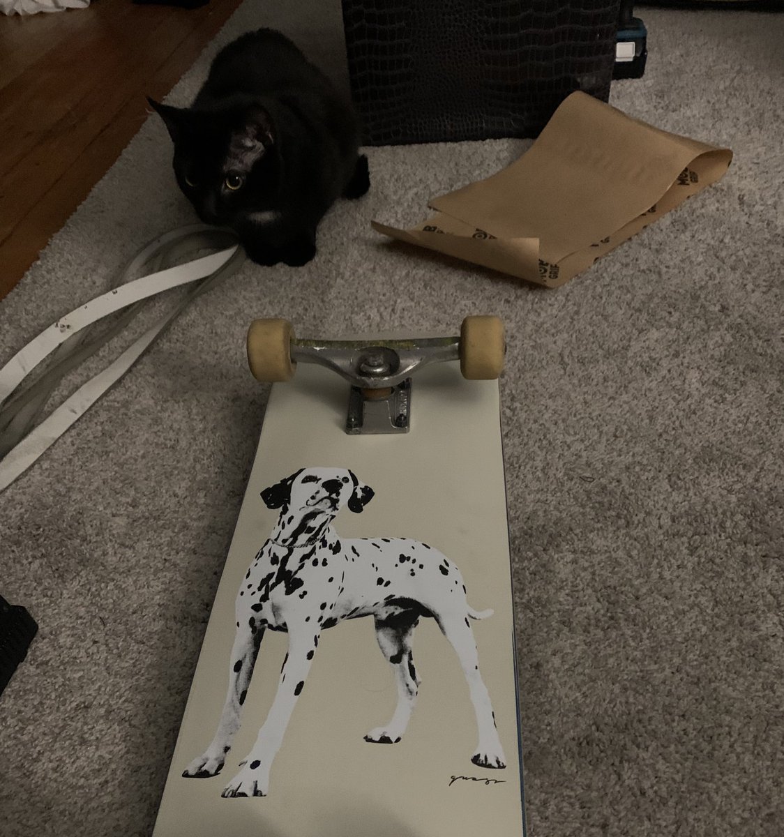 lilpissbro's tweet photo. https://t.co/Dsh0zgcaOr