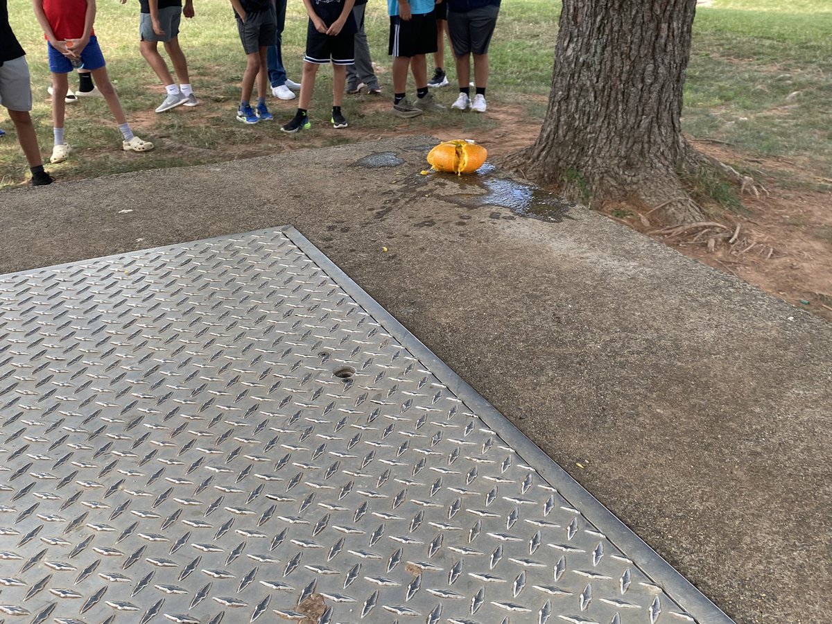 dawn_vlchek's tweet photo. What does an orange and a baseball bat have to do with US History? @HerrinHistory illustrates the concept of distortion to 7th Gr Ss with @MustangHistory7 & @dawn_vlchek. #WhoTellsYourStory @JLSMS_Official @SSGSlcps #StudentHistorians https://t.co/Q5hSbXjB6H