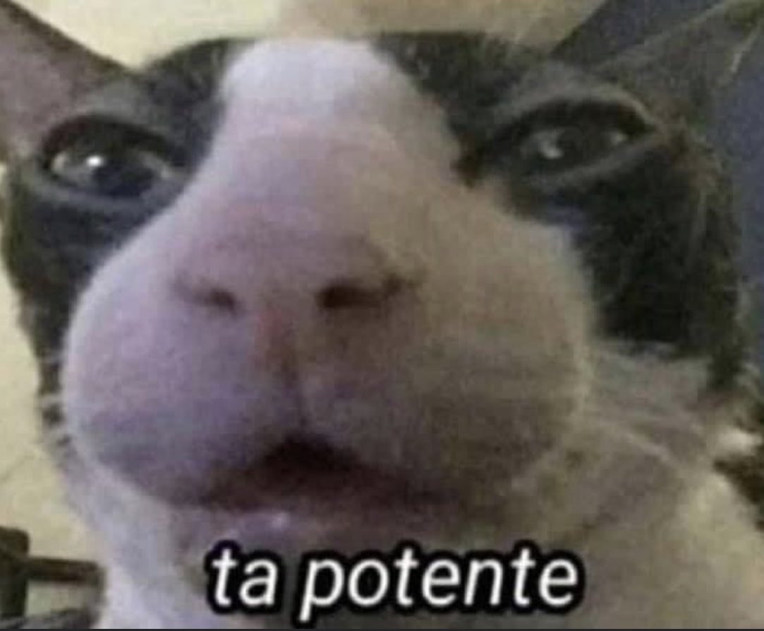 yo probando los mates de mi amigx