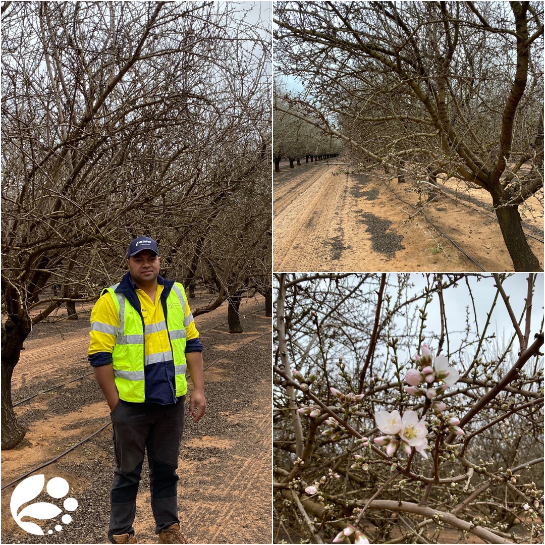 Agripower Australia tweet media