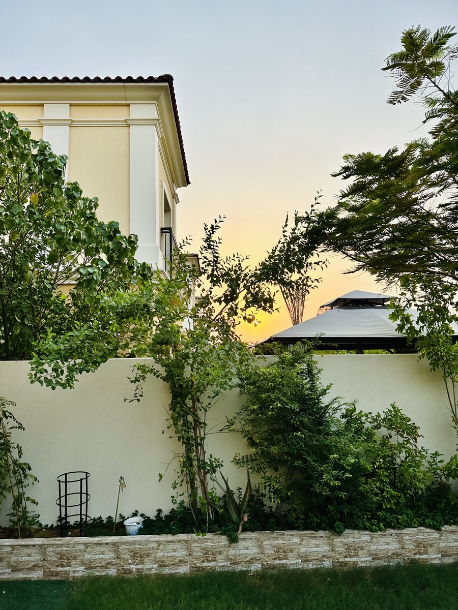 Manzoor Banbhan منظور ٻانڀڻ tweet media