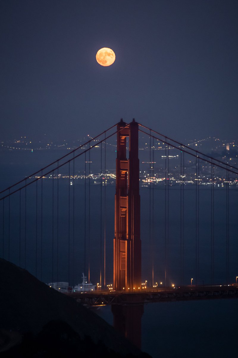 San Francisco Chronicle tweet media