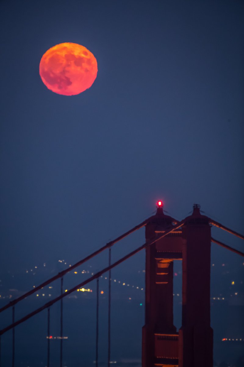 San Francisco Chronicle tweet media