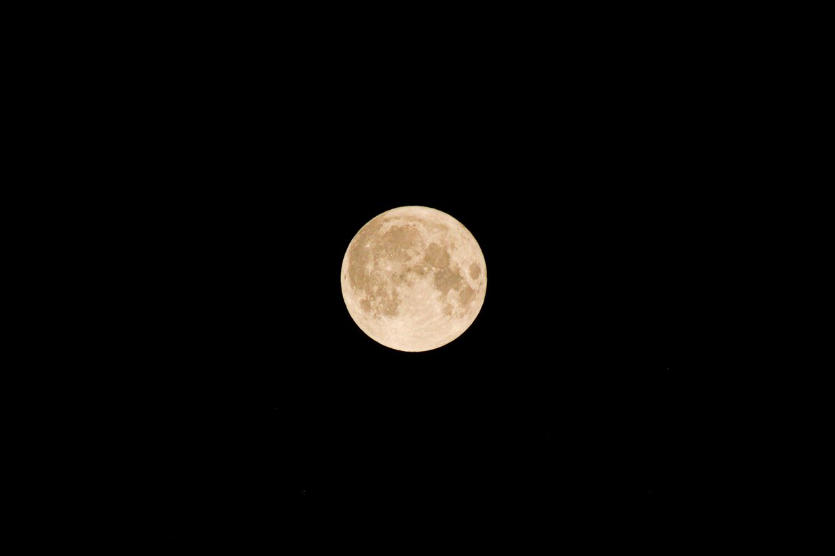 zaki29_'s tweet photo. shot the blue moon.
toronto, canada. https://t.co/kYKxR6Deof