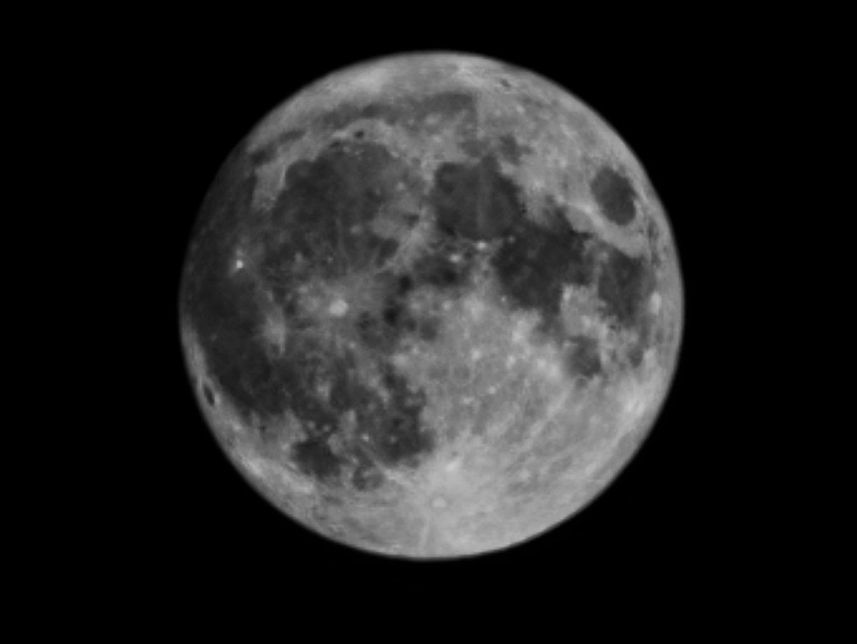 pvjani's tweet photo. Always mesmerizing to see this celestial beauty...
.
.
#SuperBlueMoon #supermoon #BlueMoon #BlueMoon2023 https://t.co/yDEnpNCX46