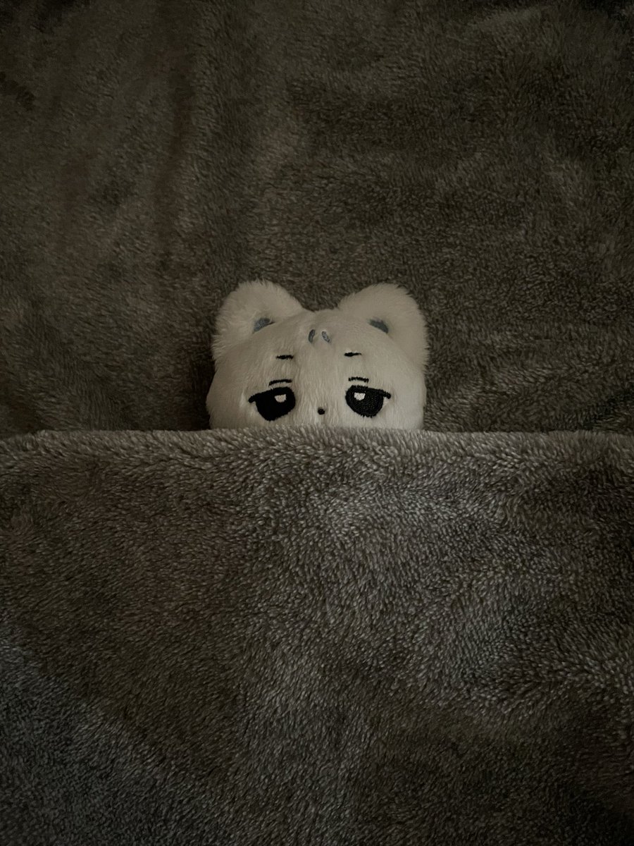 구매 해주신 모든 분들께 감사드립니다!
생산 기간은 약 3-4개월 정도 소요되며 새로운 소식이 있다면 바로 공지드리겠습니다. 

믿고 맡기는 <a href="/Hape_Village/">☁️Hape Village☁️인형제작/아이돌인형 /봉제인형공장</a> 와 함께합니다🩵